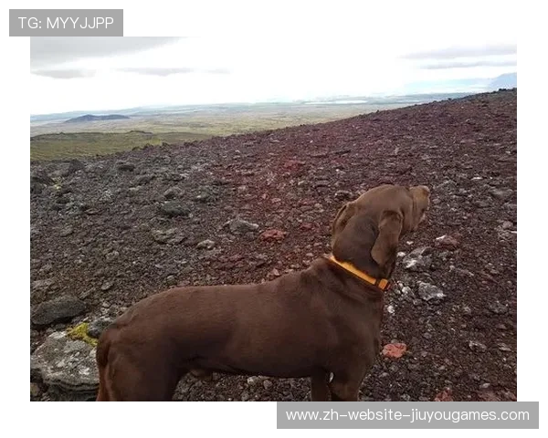 ¦ó-¬-ÍÁÑ¦í¦¼Àóú¦Áþ¥¦+Þ¦¿+¤Á-¦½ãµ-¦+õ